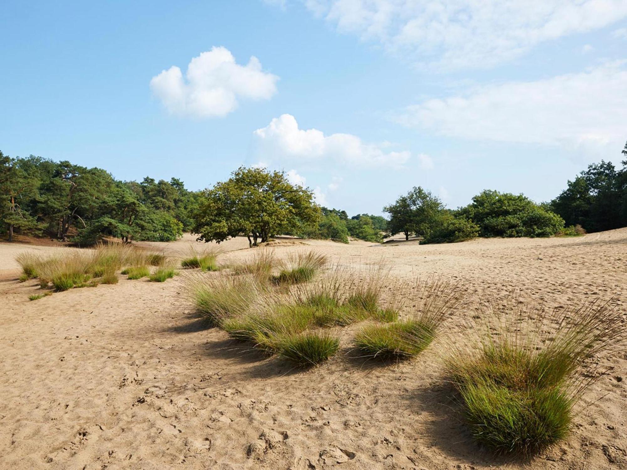 Vakantiehuis T Kaatsheuveltje 5 *